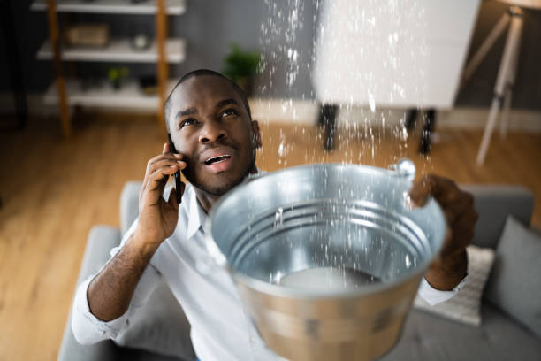 Best Water damage restoration mold remediation  in Guymon, OK