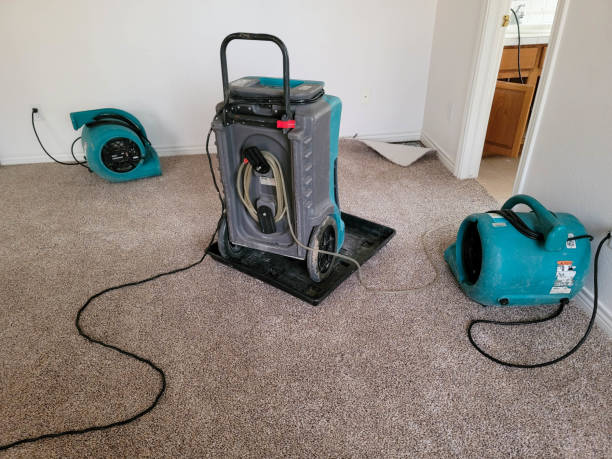 Best Professional water damage repair  in Guymon, OK