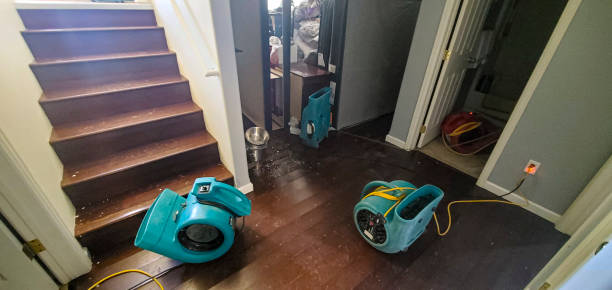 Best Water damage cleanup near me  in Guymon, OK