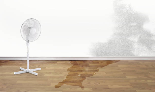 Best Flood damage cleanup  in Guymon, OK