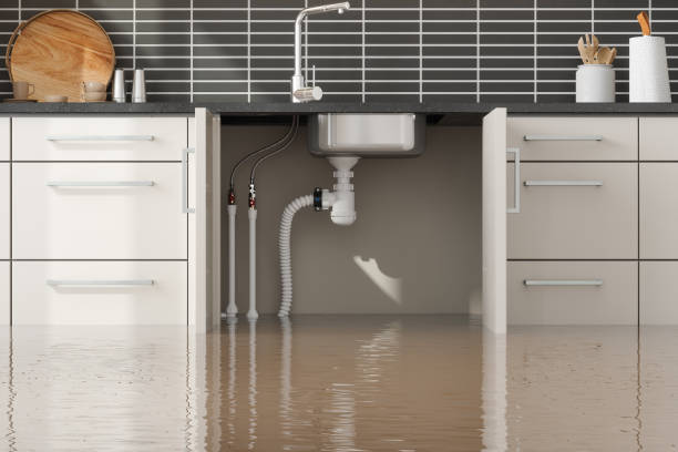 Best Water damage restoration insurance claims  in Guymon, OK